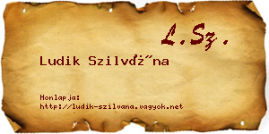 Ludik Szilvána névjegykártya